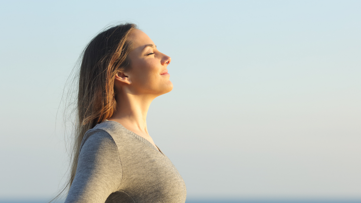 Noiseless em contexto de treino